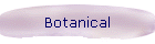 Botanical